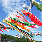 泳げ鯉のぼり相模川